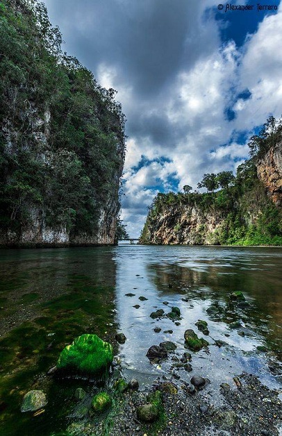Naturaleza